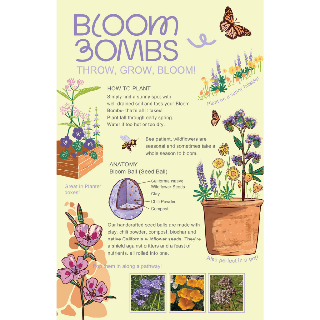 wildflower seeds in a pot Bloom Bombs